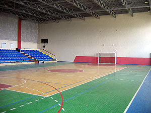 Дворец спорта Рубин